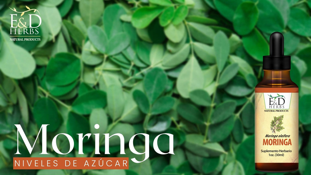 Alcachofa Tiendas Naturistas 🌻 (@alcachofatiendasnaturistas) · Belén,  Colombia · Instagram photos and videos, image size:1200x675