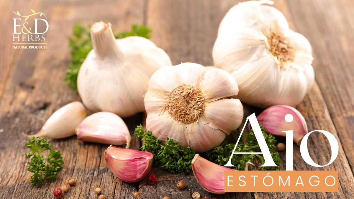 Las 4 Maneras en que el Ajo ayuda a tu Estómago – E&D Herbs Natural