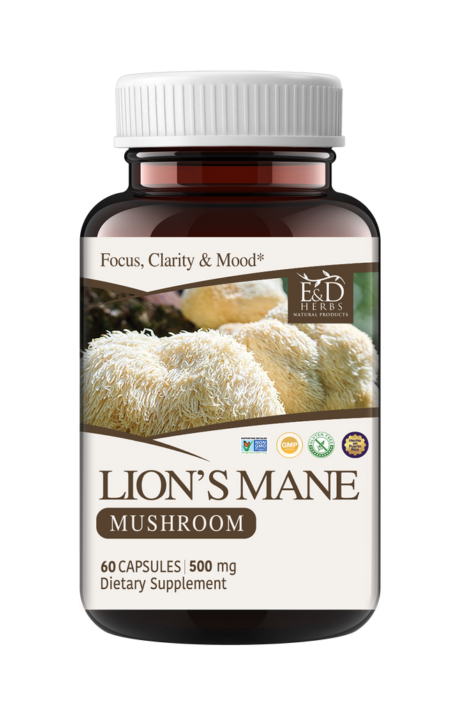 Lion’s Mane Mushroom